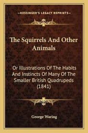 The Squirrels and other animals